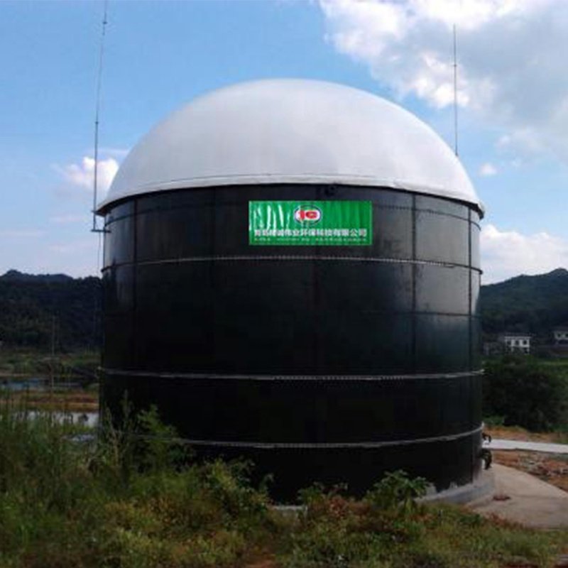 1000m3 or 2500m3 biogas digester plant biodigestor