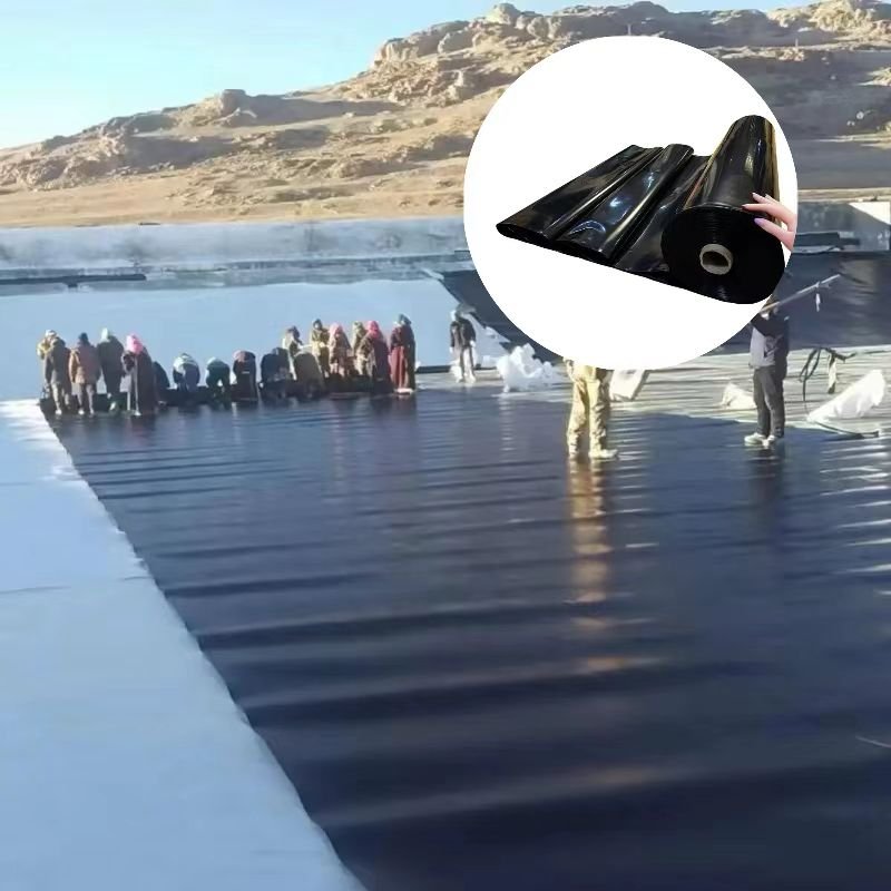 High-Density Polyethylene (HDPE) Geomembrane Aquaculture Farm Oxidation Pond/Anaerobic Tank Sewage Tank Pig Farm Biogas Tank
