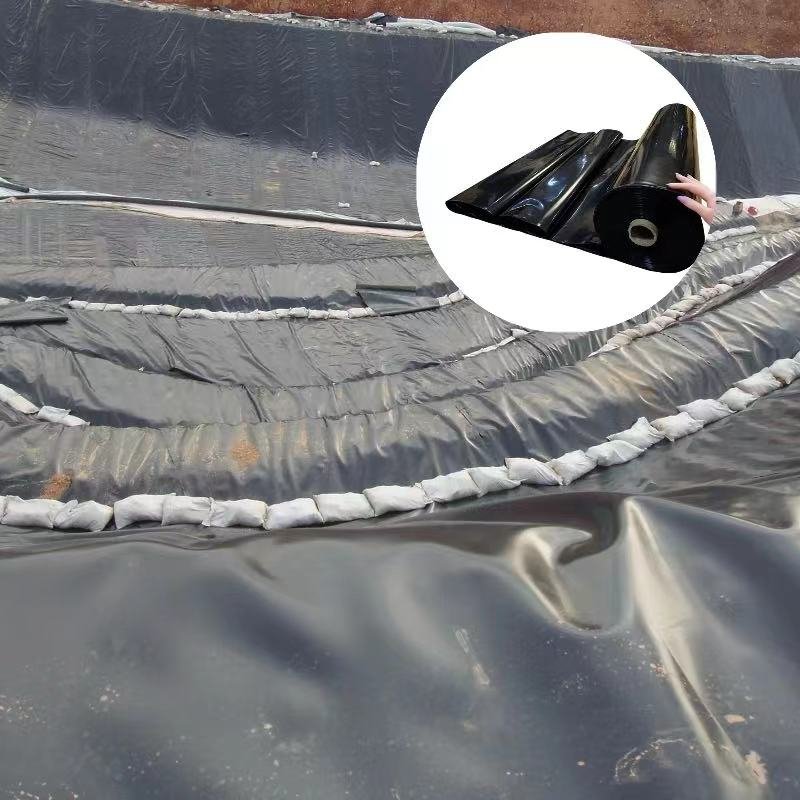 High-Density Polyethylene (HDPE) Geomembrane Aquaculture Farm Oxidation Pond/Anaerobic Tank Sewage Tank Pig Farm Biogas Tank