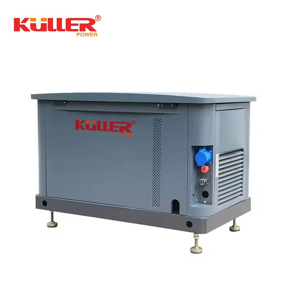 6KW 8KW 10KW Mute Turbine Generator Single Phase Water Cooled 220V/380V DC Output for LPG/Biogas-Natural Gas Liquefied