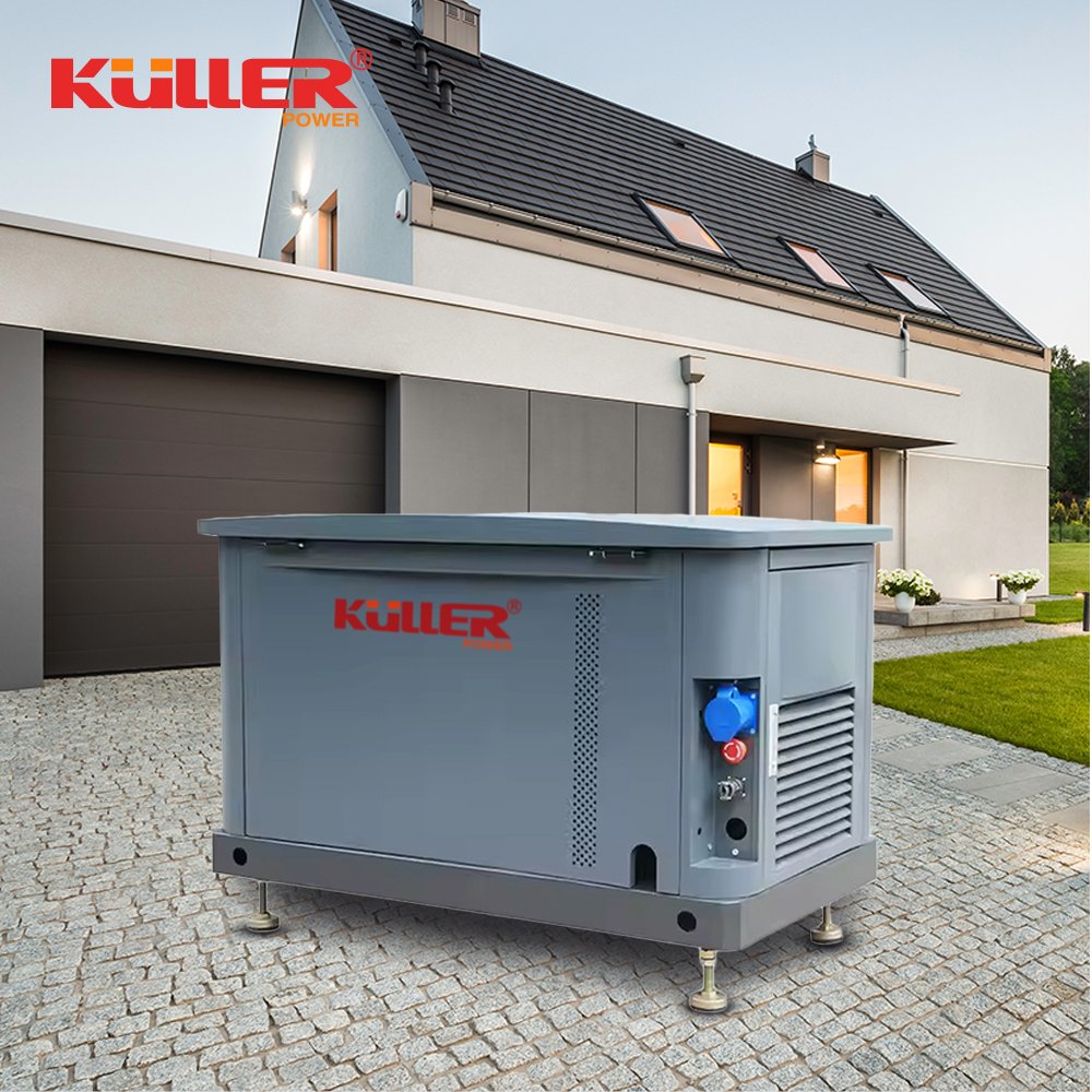 6KW 8KW 10KW Mute Turbine Generator Single Phase Water Cooled 220V/380V DC Output for LPG/Biogas-Natural Gas Liquefied