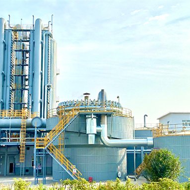 Best Selling Methane Recovery System 5 Mw Easy Operation Psa CH4 Methane-Generator-Set for Make Biogas Plant