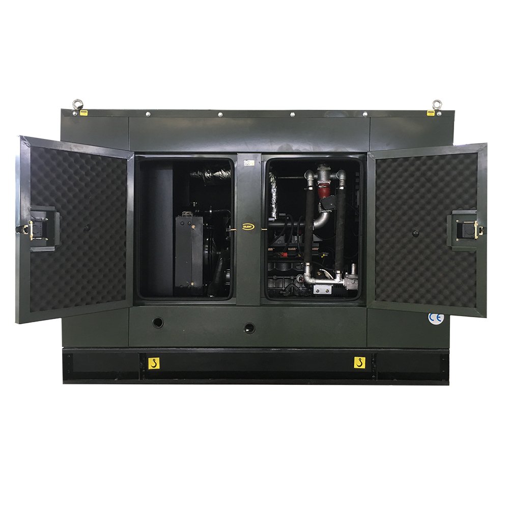 10Kw 16Kw 75Kva 100Kva 110Kva 200Kva Natural Gas Biogas Lpg Biodiesel Chp Generators Set For Home