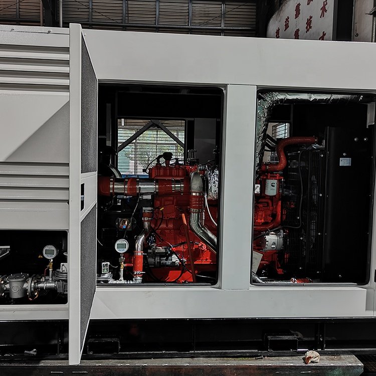 High Quality Electric Start 250kW Biogas/Propane/LPG Generator/Natural Gas Generator 300kVA