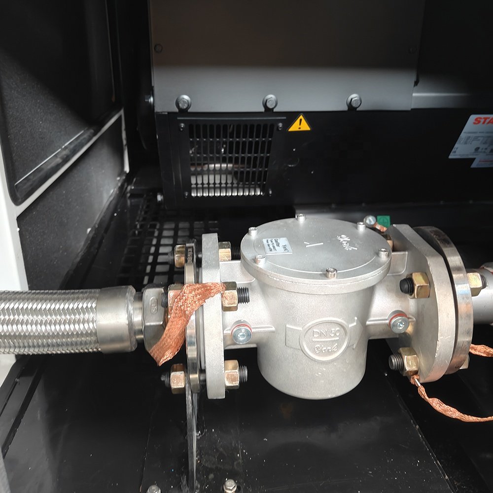 High Quality Electric Start 250kW Biogas/Propane/LPG Generator/Natural Gas Generator 300kVA