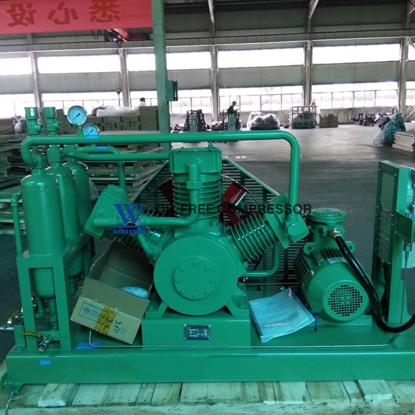 On-Site Cng Home Compressor Carbon Dioxide 300 Bar Boosting Compressor Pcp for Screw Air Compressor