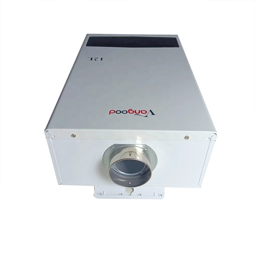 Indoor Tankless Gas Constant Temperature Lpg Water Heater 12L