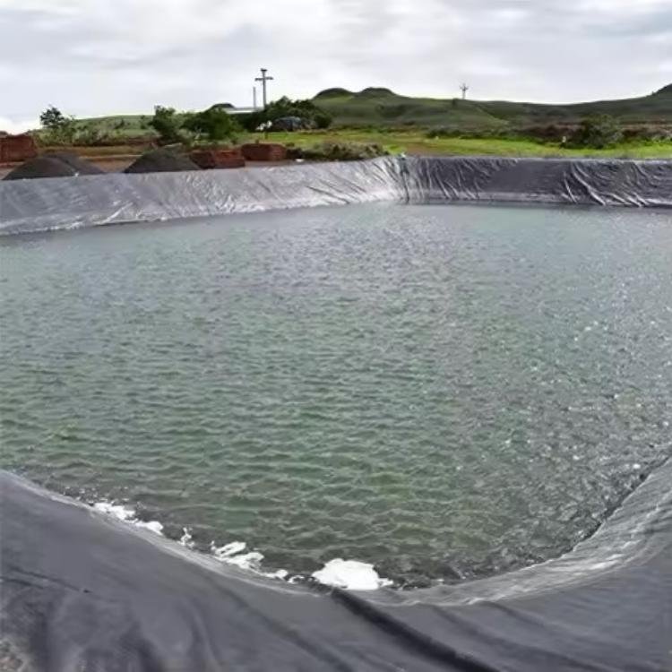 1mm Fish Farm Liner hot selling HDPE LLDPE PVC Pond Liner Geomembrane