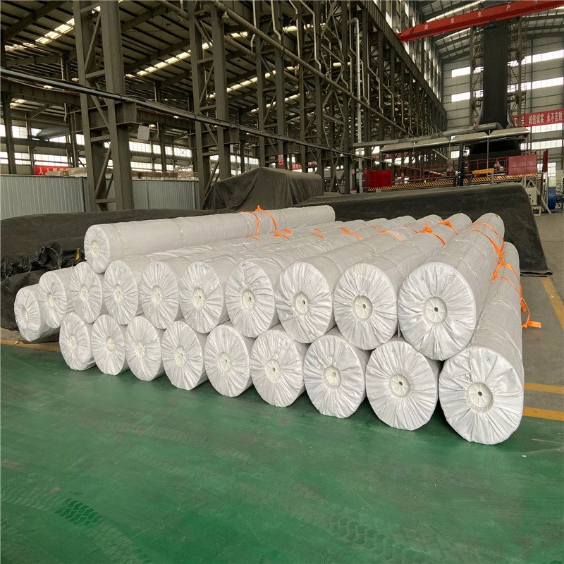 Direct HDPE Geo membrane Geo membranes HDPE Material Damp Proof Membranes Factory in China 15 Years
