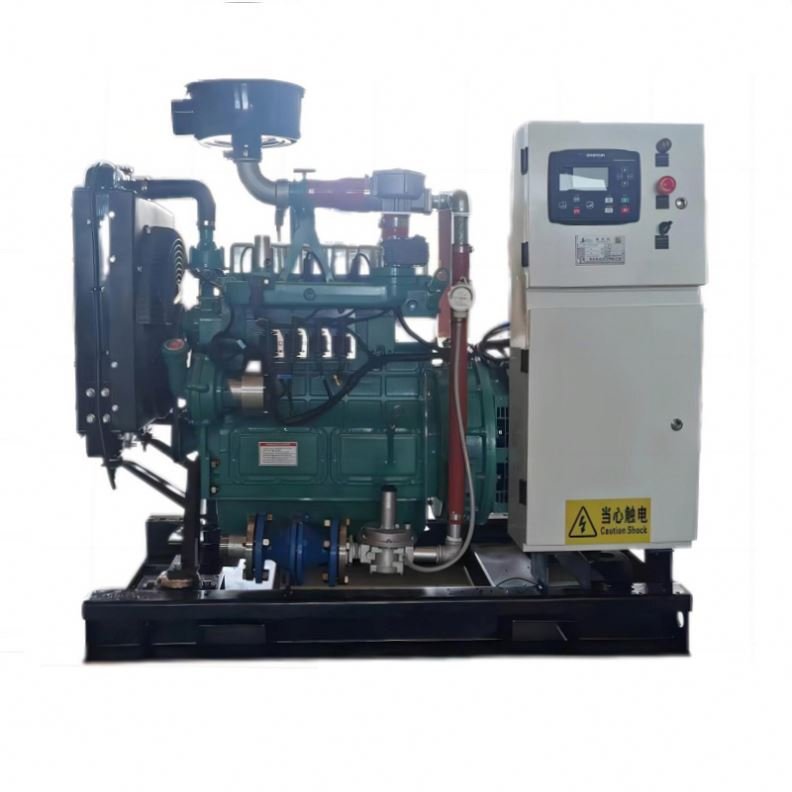 Gas Generator Ce Iso Certified Methane Biogas Natural 1 Mw Cummins Engine Natural Gas Biomass Biogas Lpg Gas Electric Generator