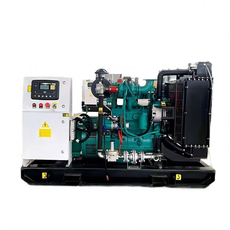Gas Generator Ce Iso Certified Methane Biogas Natural 1 Mw Cummins Engine Natural Gas Biomass Biogas Lpg Gas Electric Generator