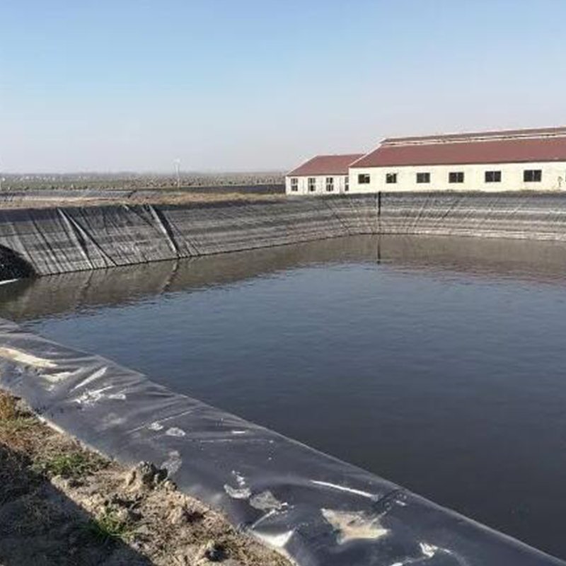 High Strength Water Reservoir Waterproof Biogas Digester Soudure Geomembrane Membrane For Pool
