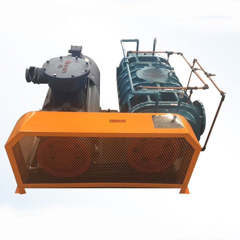 Biogas Roots Blower For Electric Power Plant