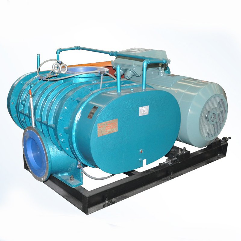 Biogas Roots Blower For Electric Power Plant