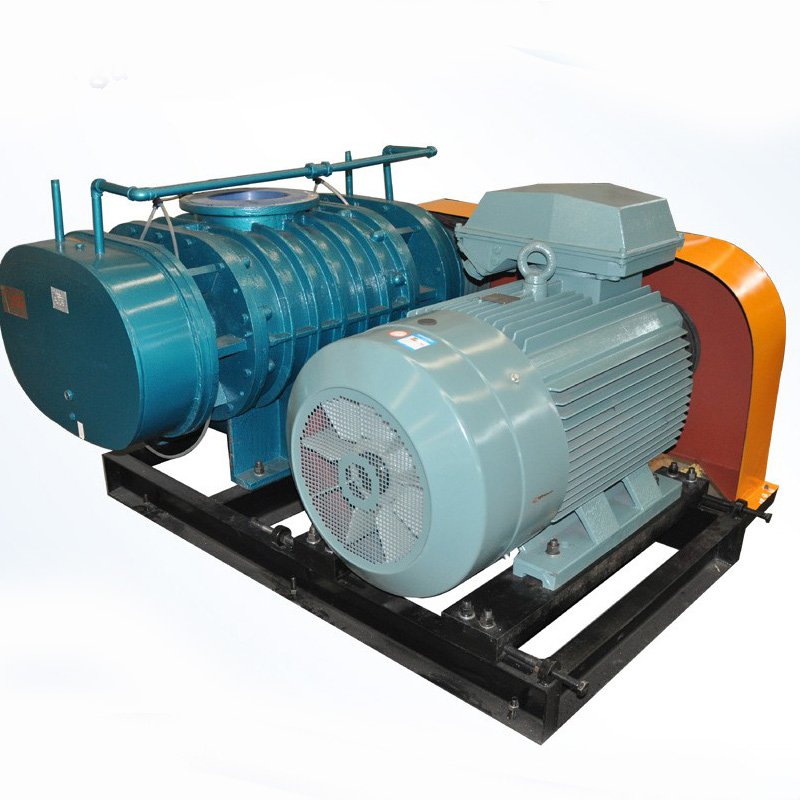 Biogas Roots Blower For Electric Power Plant