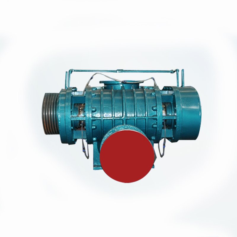 Biogas Roots Blower For Electric Power Plant