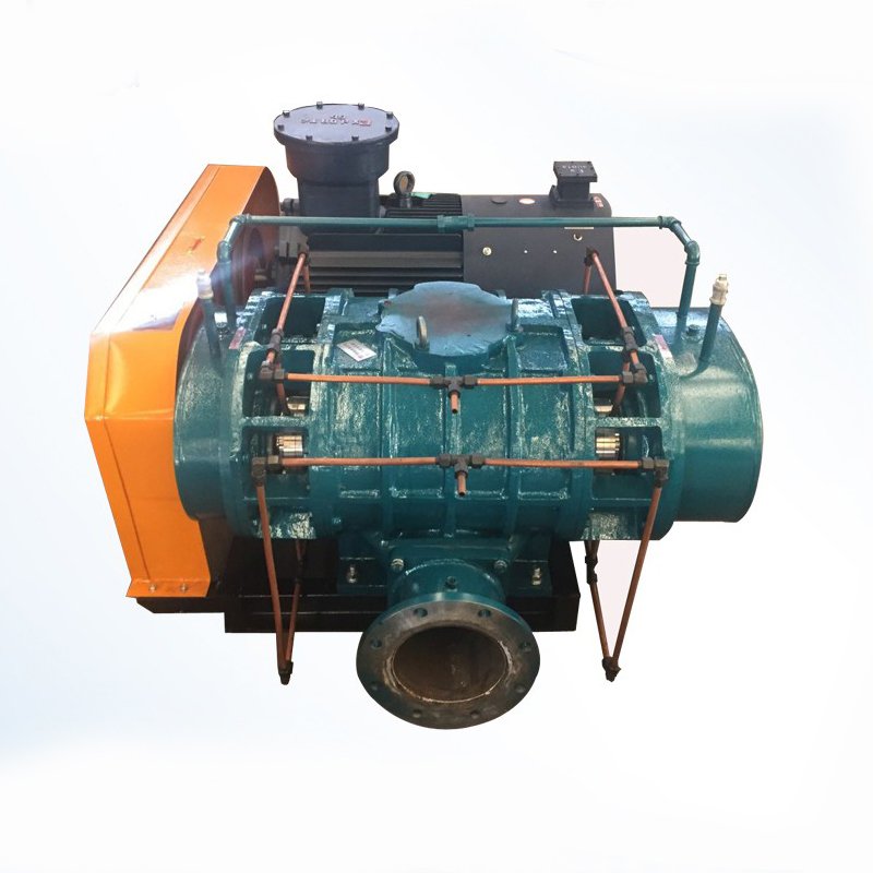 Biogas Roots Blower For Electric Power Plant