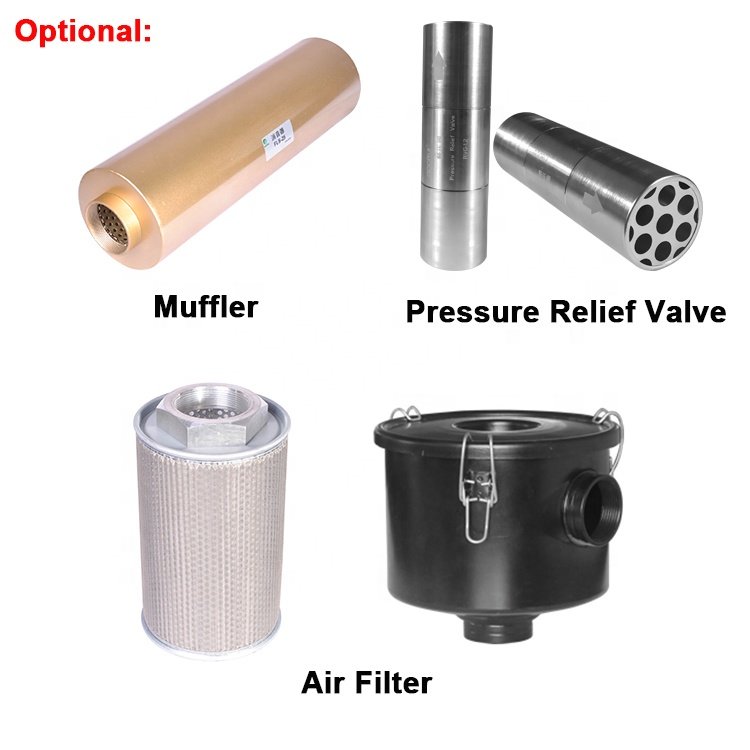 High Quality Blower 220V Electric Air Pump 12.5kw fish farm Air Blower For Aquaculture Biogas Transfer