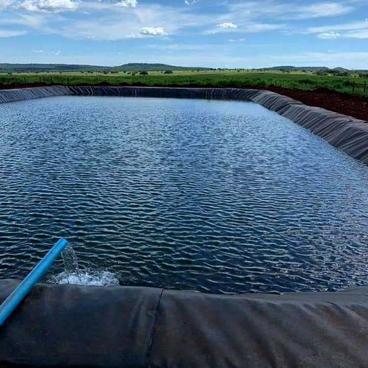 1.5mm 2.0mm factory supply HDPE geomembrane price landfill mining chemical plant