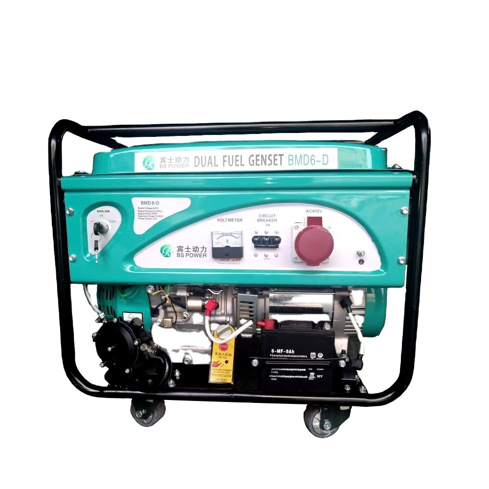 5kw 7KW Dual Fuel Gas Generator Portable Mini Natural Gas LPG Biogas Generator for home use