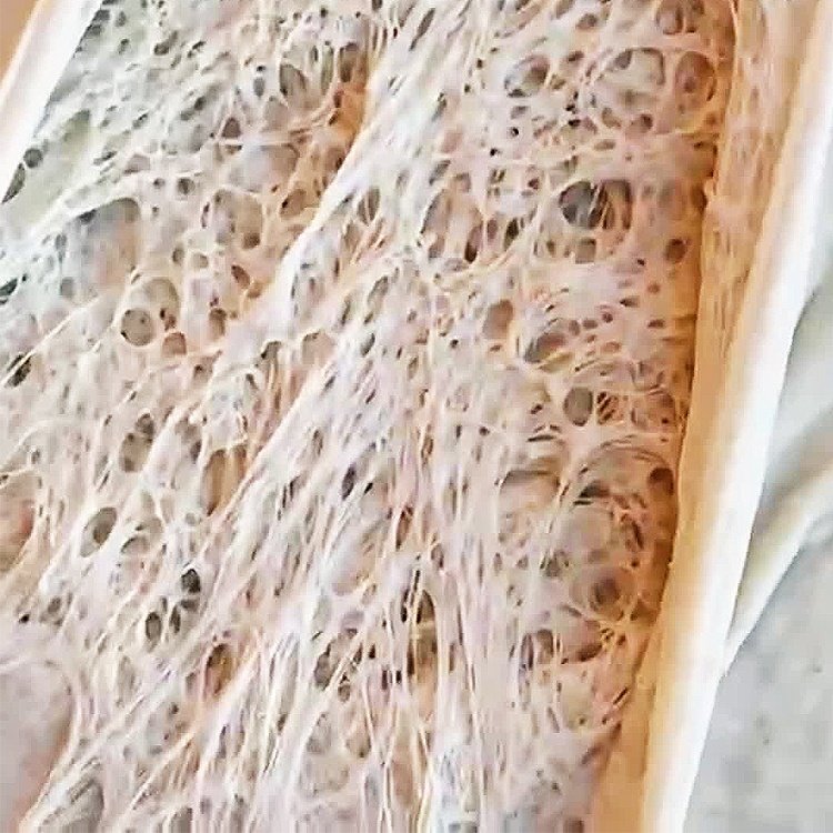 Experience the Convenience Dry Yeast of Dough Fermentation Select Our Prosper Instant Yeast, dry yeast for bread, brewers yeast