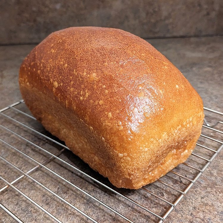 Experience the Convenience Dry Yeast of Dough Fermentation Select Our Prosper Instant Yeast, dry yeast for bread, brewers yeast