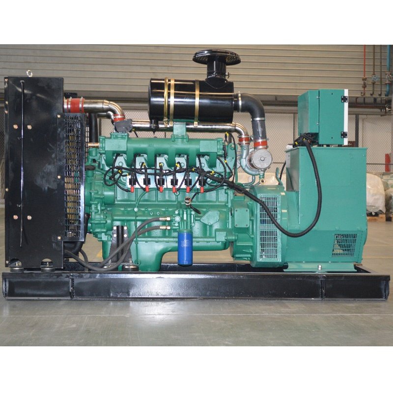 20KW/25KVA biogas generator natural gas generator gas turbine generator