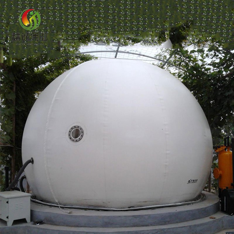 100-10000 cubic meter biogas plant project for industry purpose
