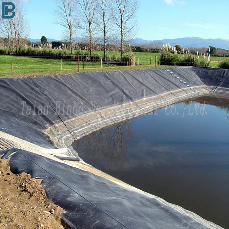HdpeGeosynthetic Material for Fishpond Biogas Digester Impervious Lake Geomembrane