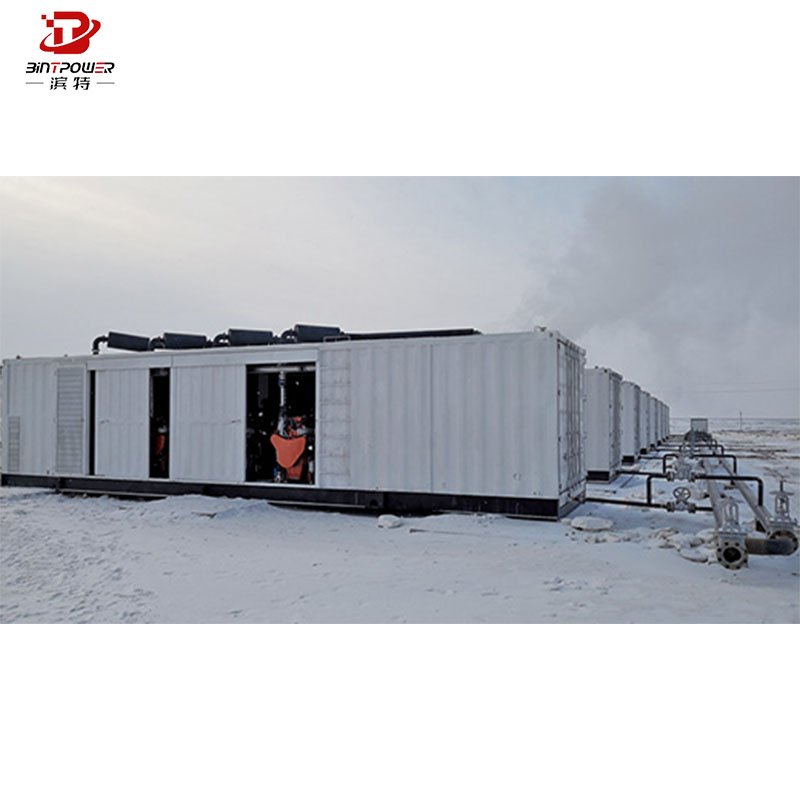 Generator gas 1000KW 3000kw 4000kw 1MW Gas Genset Natural Gas Generator