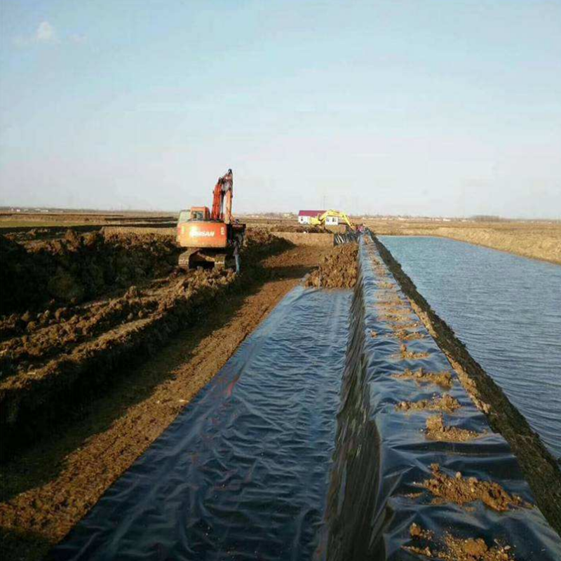 pvc geomembrane 10m Hdpe Smooth geomembrane hot weldert For Artificial Lake Aquaculture Biogas Digester