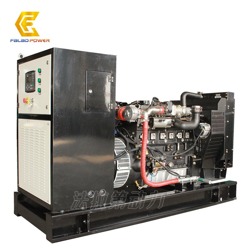 Clean energy LOVOL 50KW/62.5KVA Natural gas generator set biogas gas