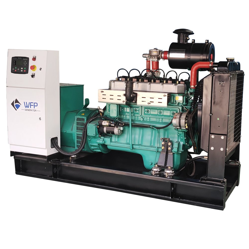 30kw 40kw 50kw 60kw 100kw 200kw LPG Biogas Natural Gas Biogas Generator