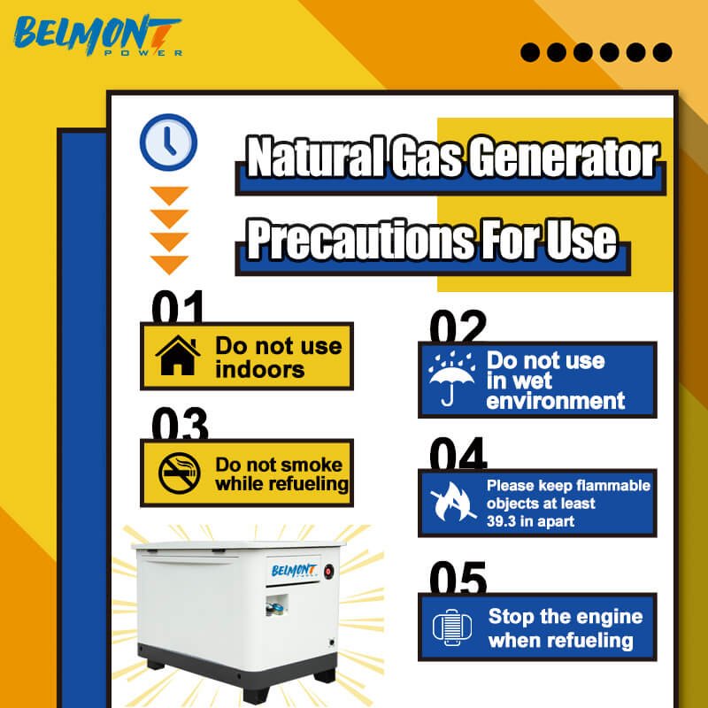 20kva 16kw 25kva 36kva 20kw 22kw 23kw EPA Certification Powered Inverter Electric Home lpg generator 10kw Natural Gas Generator