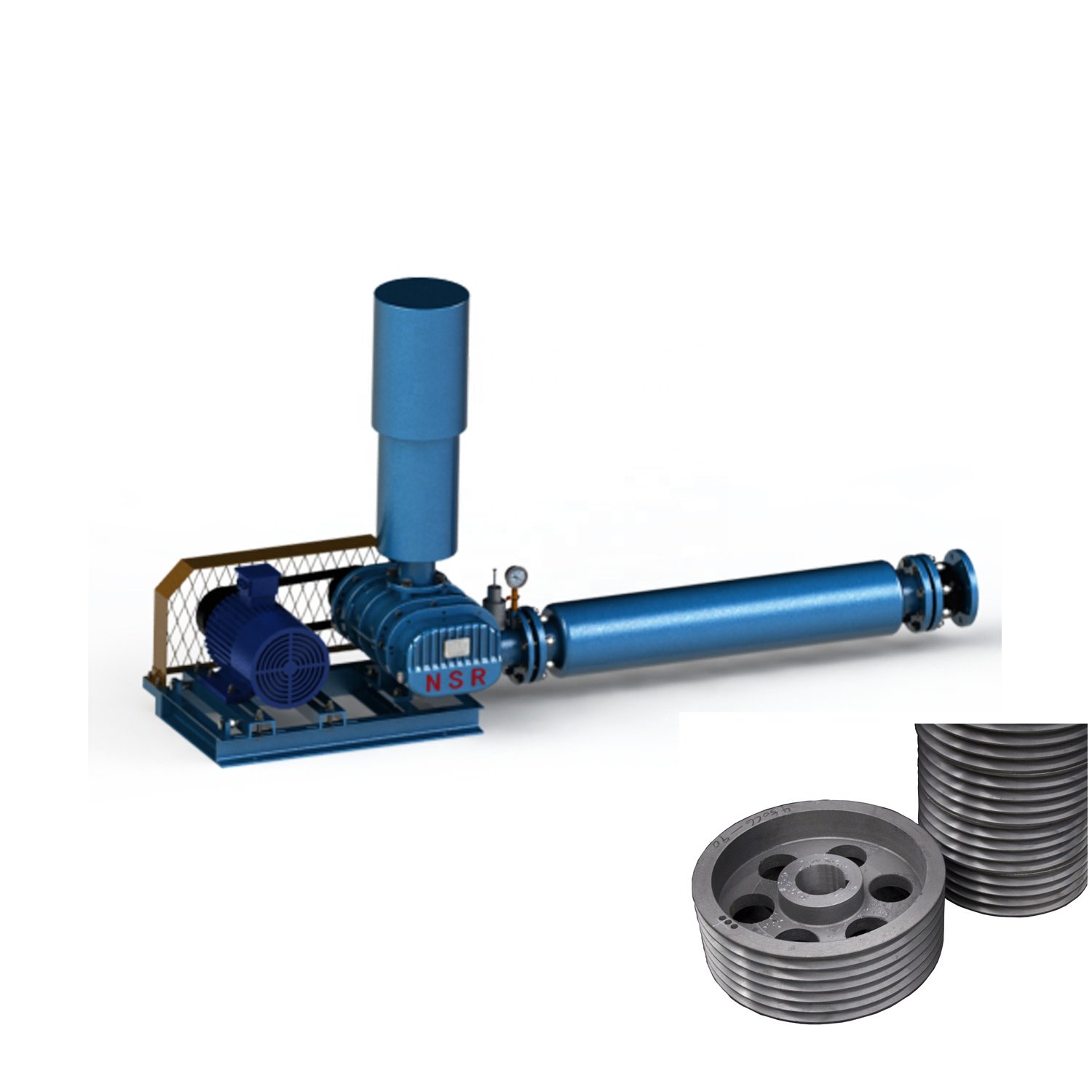 NSR250-H Roots Blower for Biogas Production