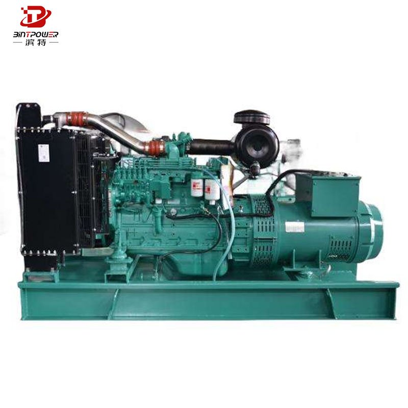 Biogas/Natural Gas/LPG Generator 60kva 100kva Gas Generator with Clean Energy