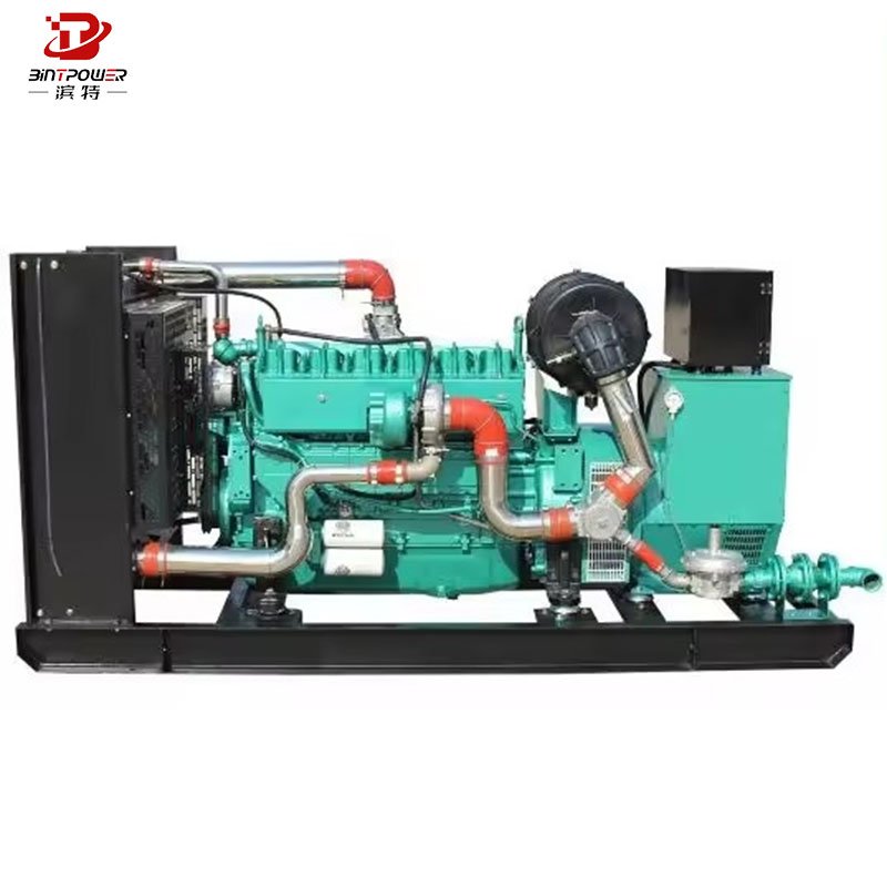 Biogas/Natural Gas/LPG Generator 60kva 100kva Gas Generator with Clean Energy