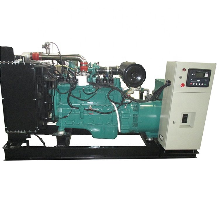 80kw natural gas powered generator Propane 90kw emergency power supply generator biomass gas turbine generators