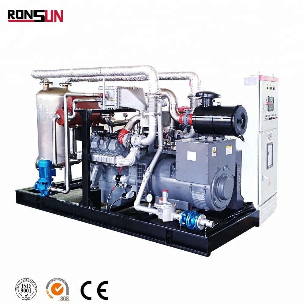 Customized biogas chp unit with CHP device