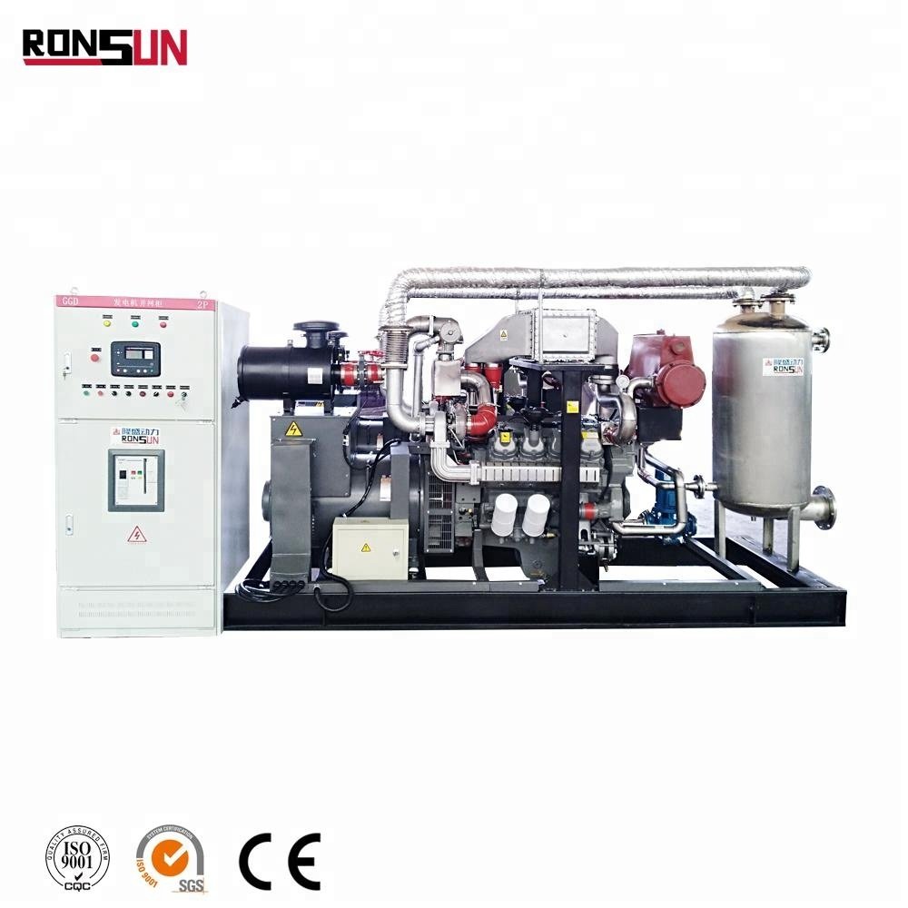 Customized biogas chp unit with CHP device