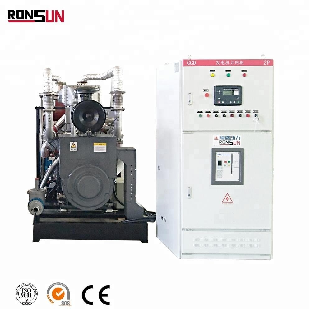 Customized biogas chp unit with CHP device
