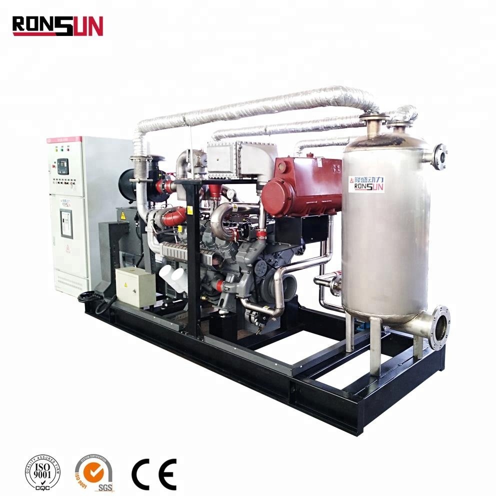 Customized biogas chp unit with CHP device
