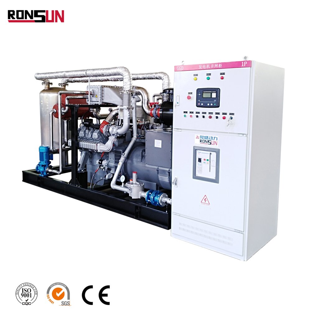 Customized biogas chp unit with CHP device