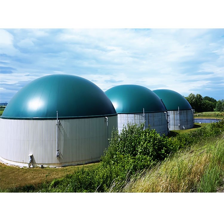 mini biogas digester biogas digester system 30mw biogas digester