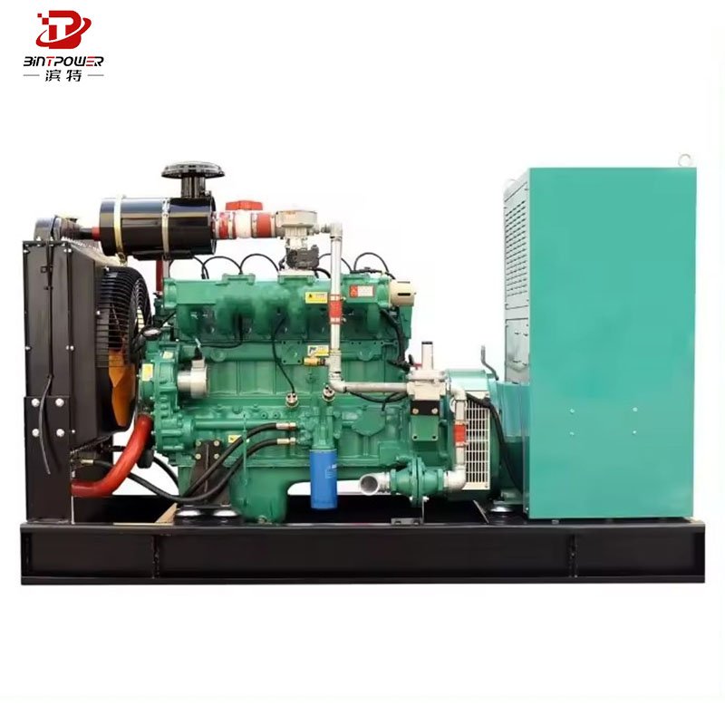 LPG biogas natural gas engine generator CUMMINS 500kw electric generator price