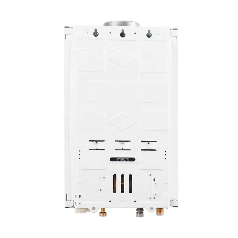 Supplier Wholesale Custom Instant Water Heater Natural Gas 10l
