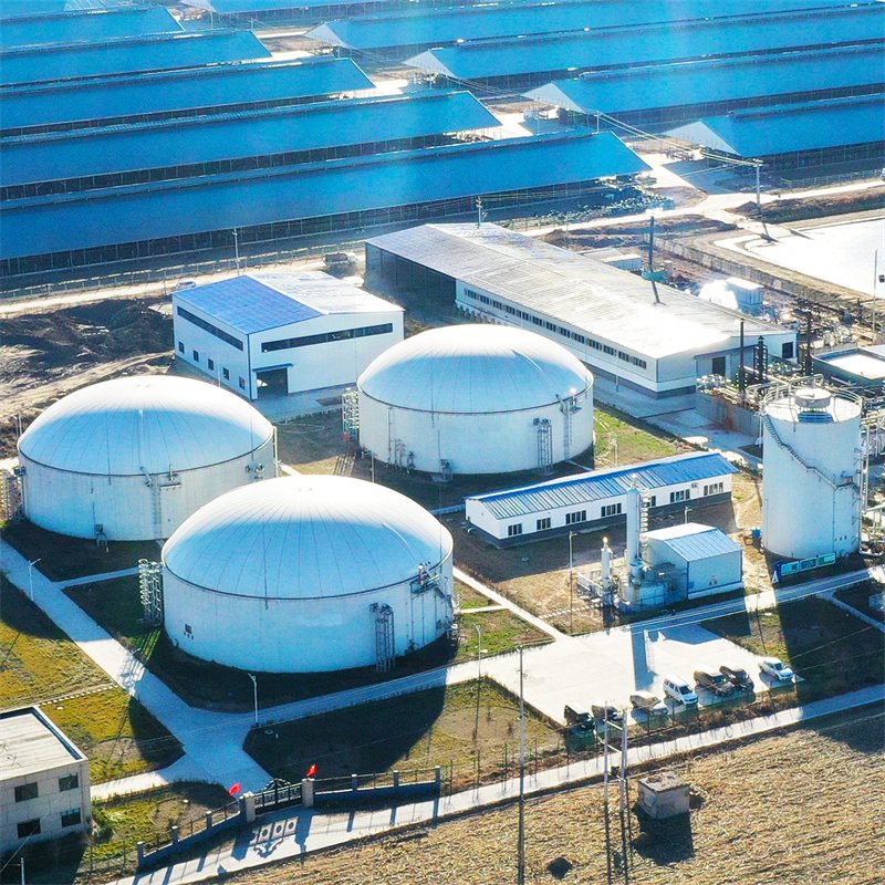Automation Biogas H2S Filter Low Energy Consumption Membrane Methane Gas Extractor