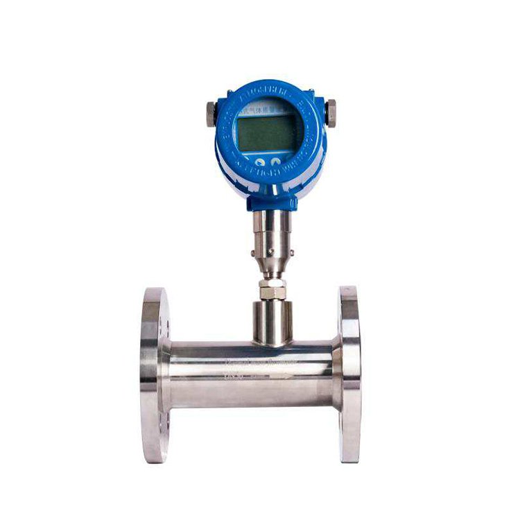 RS485 4-20mA Co2 Thermal Mass Flowmeter DN50 Compressed Air Digital Mass Flow Meter Biogas Flow Meter for Sewage Treatment Plant