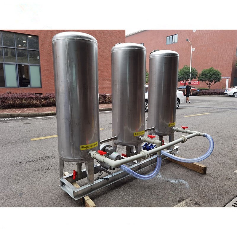 Purification System Biogas H2S Scrubber Biogas Filter Iron Oxide Desulfurizer Biogas Desulfurization
