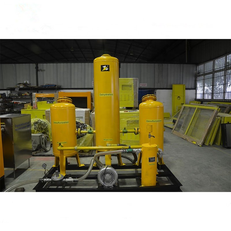 Purification System Biogas H2S Scrubber Biogas Filter Iron Oxide Desulfurizer Biogas Desulfurization